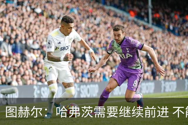 图赫尔：哈弗茨需要继续前进 不能过度使用詹姆斯